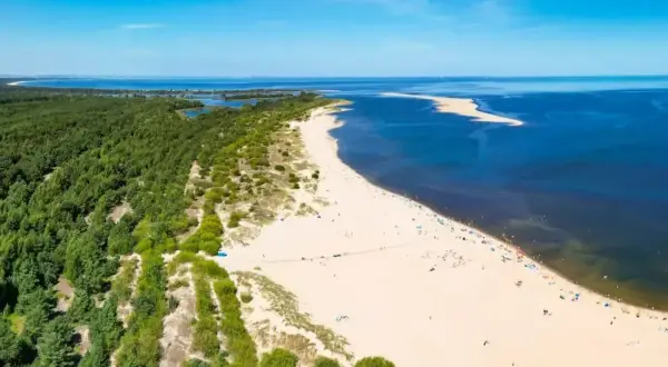 Szeroka, piaszczysta dzika plaża z zielonym lasem sosnowym po lewej i błękitnym morzem po prawej. W oddali widać piaszczystą mierzeję.
