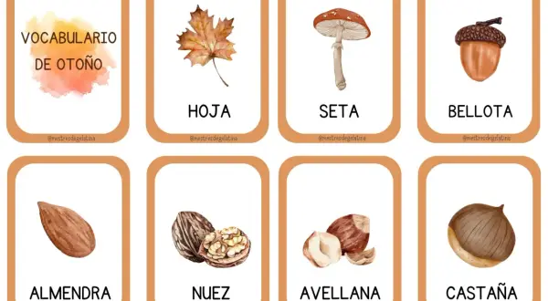 Tarjetas con vocabulario de otoño: hoja, seta, bellota, almendra, nuez, avellana y castaña.