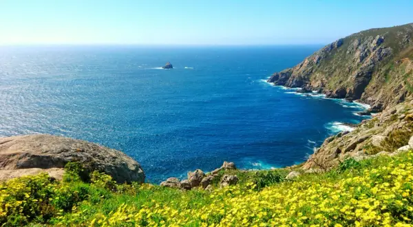 Un mar azul intenso baña las costas rocosas de Finisterre. Flores amarillas cubren la ladera, invitando a soñar con sus playas salvajes.