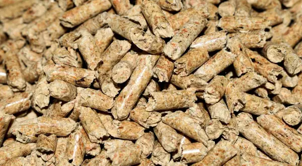Zbliżenie na stos drobnych, cylindrycznych granulek drewna. Wygląda na to, że brakuje pelletu do ogrzewania domu.