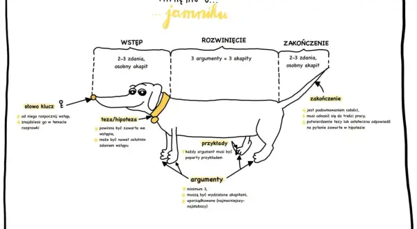 Ilustracja jamnika z podziałem na wstęp, rozwinięcie i zakończenie rozprawki.