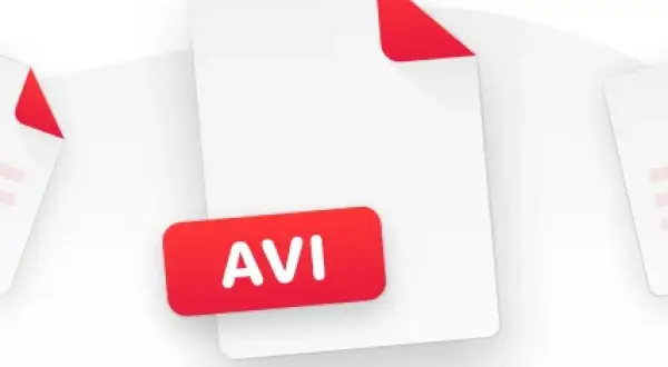 A digital file icon labeled "AVI" is shown, representing a video file format. This could be used for QuickTime.avi codec playback.