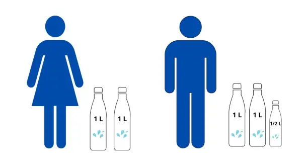En illustration visar en kvinna med två 1-liters flaskor vatten och en man med två 1-liters flaskor och en halvliterflaska. Detta ger en visuell idé om hur mycket vatten man ska dricka per dag.