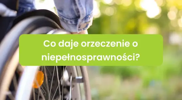 Orzeczenie o niepełnosprawności otwiera drzwi do wsparcia i ułatwień. Widok na koło wózka inwalidzkiego i zielone tło.