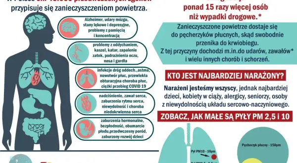 Zanieczyszczenie powietrza w Polsce to ok. 45 tys. zgonów rocznie. Smog wpływa na mózg, płuca, serce, powodując udary, choroby serca i problemy z rozwojem dzieci.