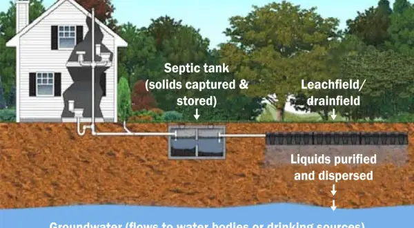 Diagram of a typical subsurface septic system, showing a house connected to a septic tank and leachfield. Proper septic system maintenance is crucial for preventing groundwater contamination.