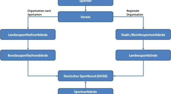 Organigramm des deutschen Sports: Sportler, Vereine, Fachverbände und der DOSB als Dachorganisation.
