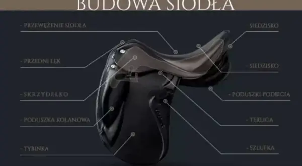 Z czego składa się siodło? Kluczowe elementy, które musisz znać