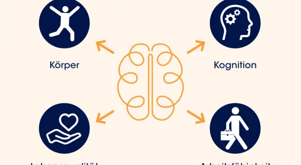 Diagramm zeigt, wie Körper, Kognition, Lebensqualität und Arbeitsfähigkeit mit dem Gehirn verbunden sind. Symptome, wenn das Gehirn schrumpft, können alle diese Bereiche betreffen.