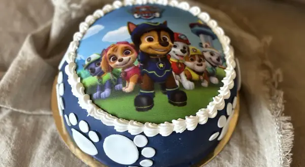 En hemmagjord Paw Patrol tårta med alla valparna på, redo för ett äventyr! Perfekt för ett litet fan.