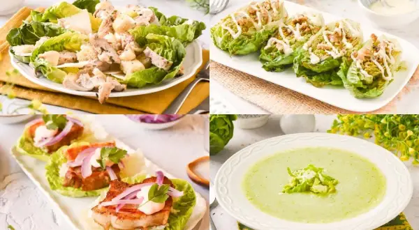 Variedad de recetas con lechuga: ensalada César, rollitos rellenos, bocaditos y crema verde.