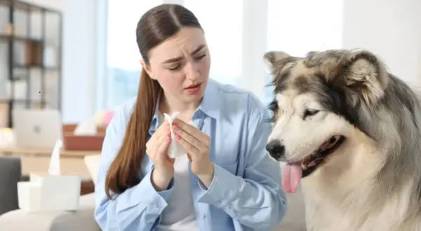 Frau hält Taschentuch, während ihr Hund niest.