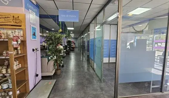 Canitas Vega del Rey: Servicios, Opiniones y Contacto para tu Mascota