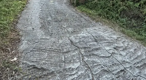 Stromy podjazd z popękanego betonu, porośnięty trawą. Zastanawiasz się, czym wyłożyć stromy podjazd, by był bezpieczniejszy i estetyczniejszy?