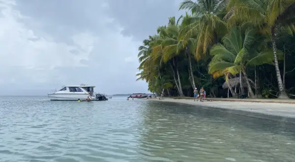 Rajska plaża na San Blas z palmami, łodzią i ludźmi kąpiącymi się w turkusowej wodzie.