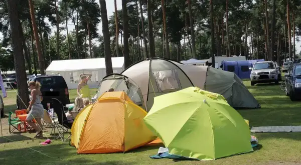 Zelte und Sonnenschirme auf einem Campingplatz mit Bäumen und Autos im Hintergrund.