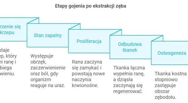 Regeneracja dziąsła po ekstrakcji: Szybkie gojenie i bezpieczeństwo