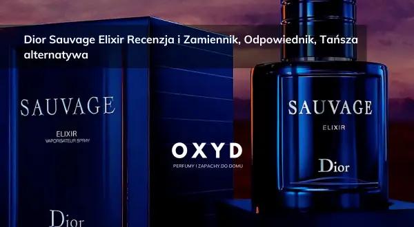 Elegancka butelka i pudełko perfum męskich Dior Sauvage Elixir. Recenzja i tańsza alternatywa.