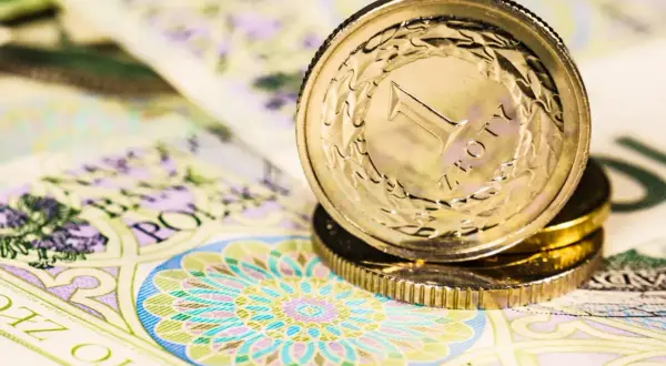 Złotówki na banknotach i monetach, symbolizujące obawy o inflację w 2025 roku.