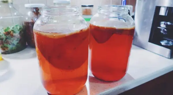Kiedy kombucha jest zepsuta? Poznaj objawy i uniknij problemów