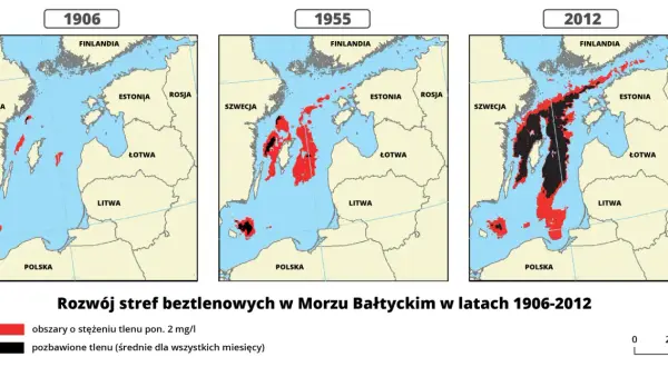 Gdzie jest Bałtyk? Odkryj jego lokalizację i otaczające kraje