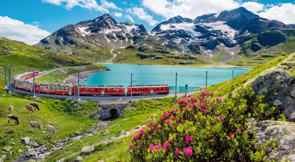Czerwony pociąg jedzie malowniczą trasą nad turkusowym jeziorem, z górami w tle. Idealny widok dla posiadaczy Swiss Travel Pass.