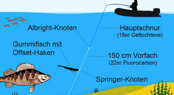 Drop-Shot-Montage für Barsch: Albright-Knoten, Gummifisch mit Offset-Haken, Hauptschnur, Vorfach, Springer-Knoten, Stabblei. Tolle Tipps für dein Havel Angeln!