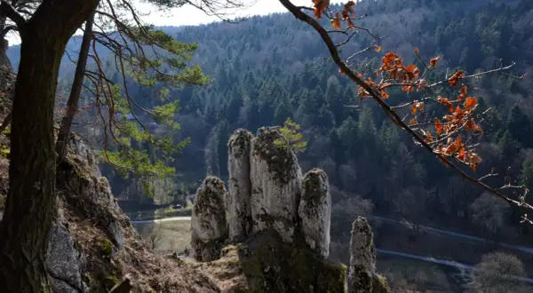 Ojcowski Park Narodowy trasa prowadzi przez skalne iglice i lasy. Widok z góry na dolinę i drogę.