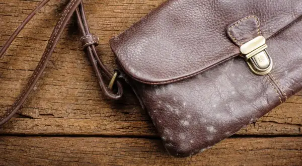 Sac à main en cuir brun taché de moisissure. Le cuir moisi présente un danger pour la santé et la conservation des objets.