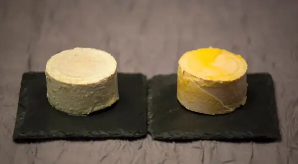 Deux terrines de foie gras, l'une claire, l'autre dorée, sur des ardoises. Lequel est le meilleur foie gras canard ou oie ?