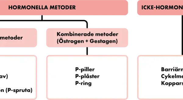 Diagram showing hormonal and non-hormonal contraceptive methods, with categories and examples.