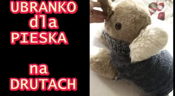 Jak zrobić ubranko dla psa ze swetra – proste kroki, które zachwycą