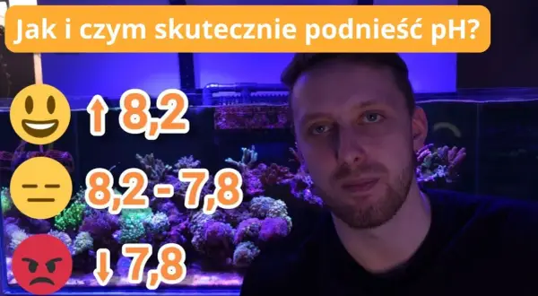 Jak podnieść KH w akwarium: 5 skutecznych metod i wskazówki