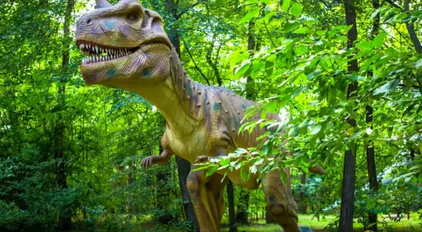 Witaj w parku ruchomych dinozaurów! Gigantyczny, realistyczny model tyranozaura czeka na Ciebie wśród bujnej zieleni.