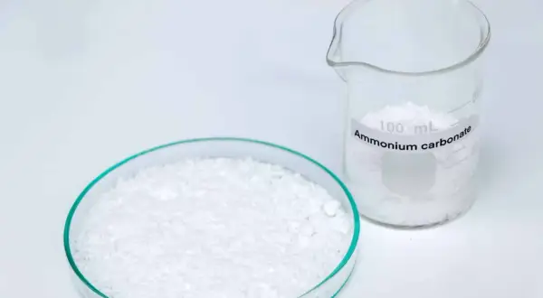 Plaque de Pétri remplie de carbonate d'ammonium blanc et un bécher gradué de 100 mL étiqueté "Ammonium carbonate".