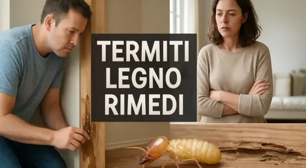 Coppia preoccupata scopre un nido di termiti in casa, con un insetto che divora il legno.