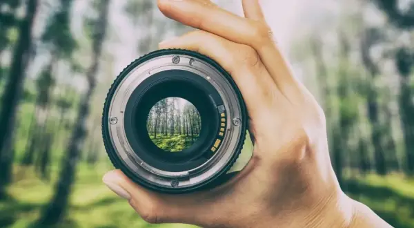 Une main tient un objectif de photographe, révélant une forêt verdoyante et ensoleillée à travers le verre.