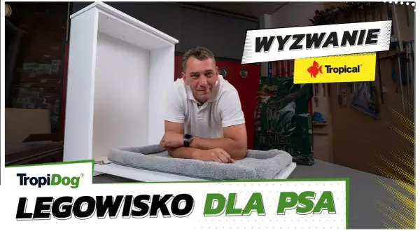 Jak zrobić legowisko dla psa - proste sposoby na wygodne posłanie
