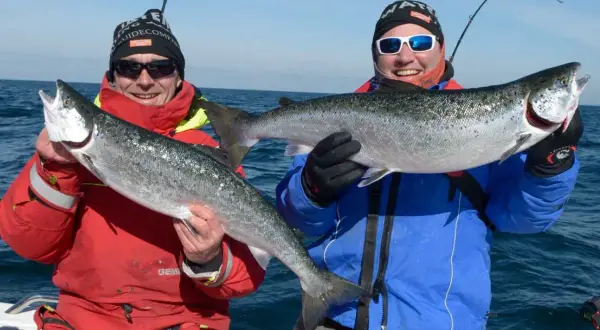 Zwei Angler auf einem Boot zeigen stolz ihre gefangenen Lachse. Ein toller Fang, der zeigt, wo man Lachs angeln kann!
