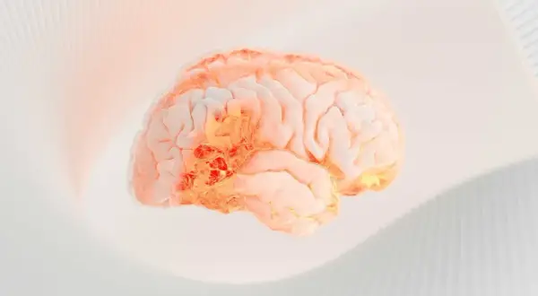 En lysande hjärna med glödande områden, som symboliserar effekten av serotonin medicin.