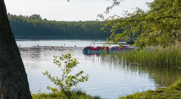 Czyste jezioro z łódkami w kształcie samochodów, otoczone zielenią i lasem.