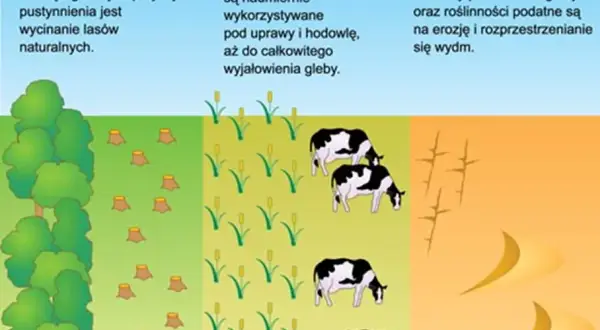 Co to jest Sahel w Afryce? Poznaj jego znaczenie i wyzwania