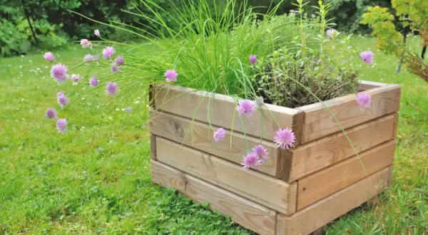 Jak zrobić kwietnik z drewna? Trwały DIY poradnik krok po kroku