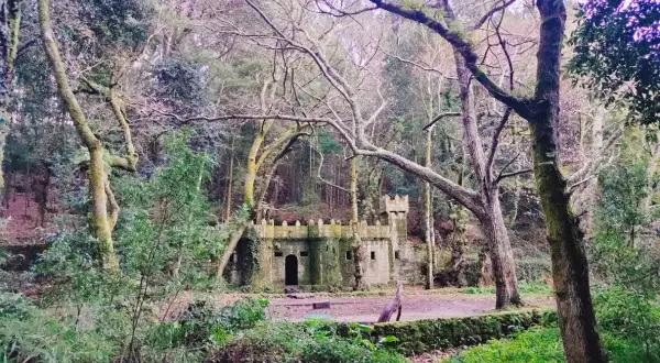 Un castillo de piedra cubierto de musgo se alza en el **bosque encantado de Aldán**, rodeado de árboles frondosos y vegetación exuberante.