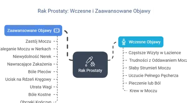 Rak prostaty: objawy, czynniki ryzyka i diagnostyka. Jak rozpoznać?