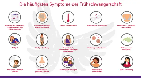 Frühe Schwangerschaftsanzeichen: Müdigkeit, Übelkeit, Brustspannen, veränderter Ausfluss, Kopfschmerzen, Nasenverstopfung, Blähungen, metallischer Geschmack, Empfindlichkeit gegenüber Gerüchen, Stimmungsschwankungen, häufiger Harndrang, leichte Krämpfe...