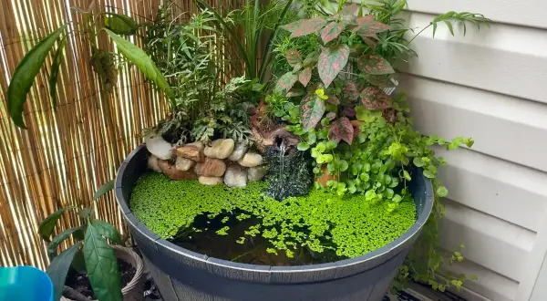 Kleiner Miniteich auf dem Balkon mit üppiger Bepflanzung und einem Wasserfall.
