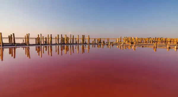 En dagsutflykt från Torrevieja till en rosa sjö med gamla träpålar som speglas i det färgade vattnet.
