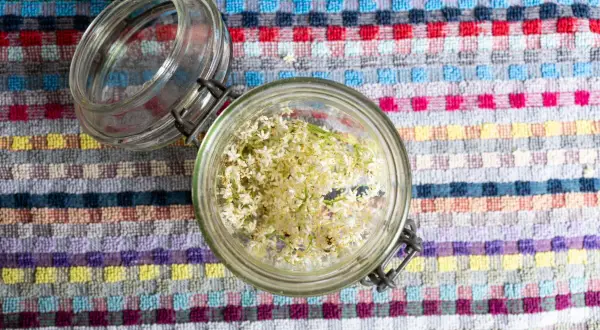 Ein Glas voller Holunderblüten, bereit für ein köstliches Holundergelee Rezept.