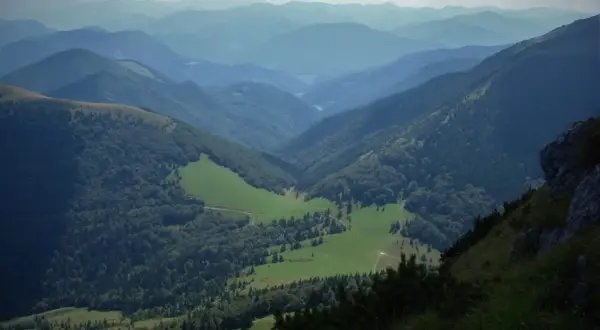Malownicza dolina w Małej Fatrze, zielone łąki i lasy, idealne na szlaki.
